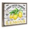 Stupell Industries Farm Fresh Produce Lemons Floater Framed Canvas Wall Art Design by Creatif Belle